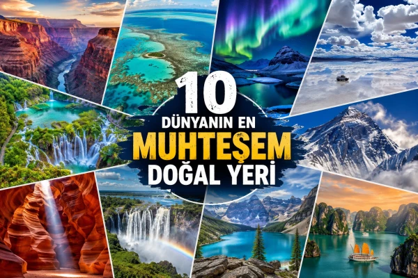 Kitap fuarında imza günleri düzenlendi